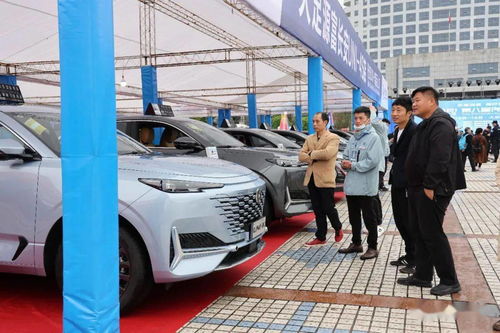 3天交易387輛車6200萬元