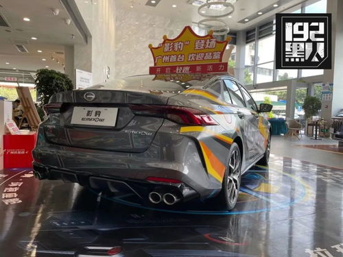 探店影豹 有跑車(chē)般排氣聲浪,起售不到10萬(wàn),能撼動(dòng)思域嗎